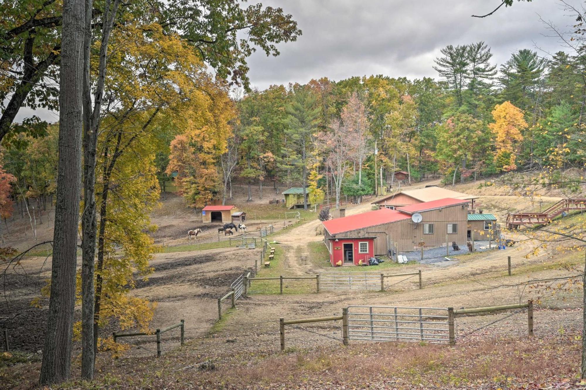 Lone Ranger Cabin With 50 Acres By Raystown Lake Huntingdon Zewnętrze zdjęcie