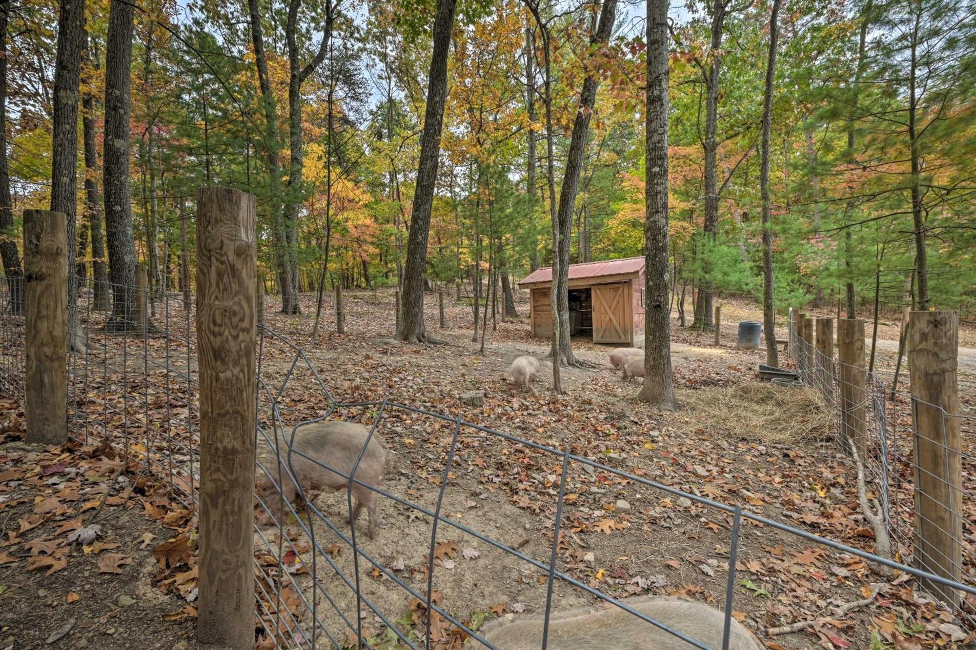 Lone Ranger Cabin With 50 Acres By Raystown Lake Huntingdon Zewnętrze zdjęcie