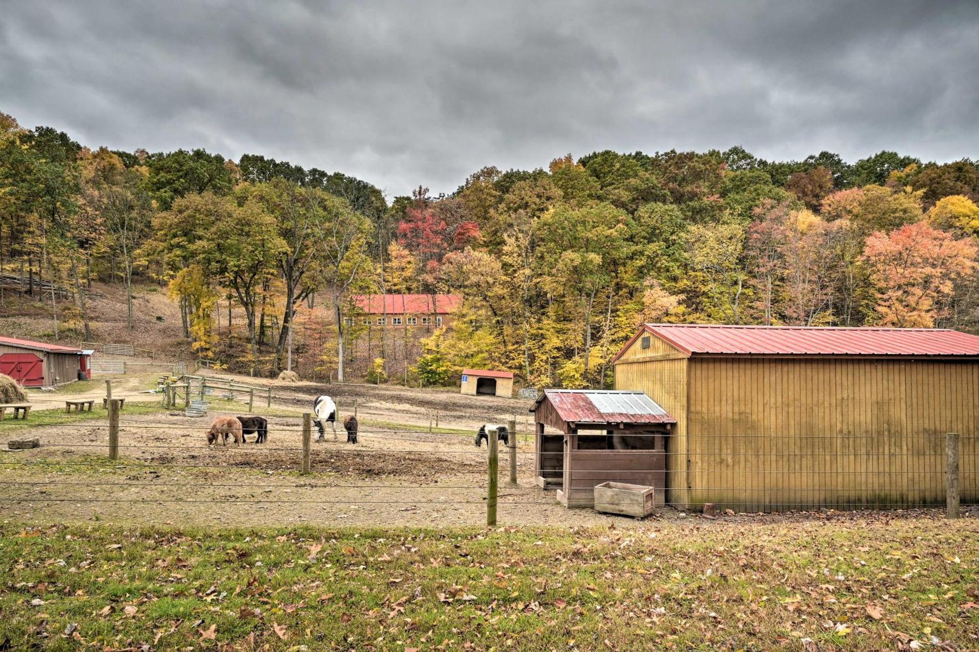 Lone Ranger Cabin With 50 Acres By Raystown Lake Huntingdon Zewnętrze zdjęcie
