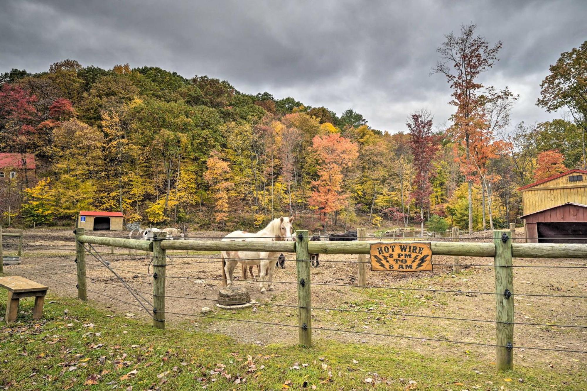 Lone Ranger Cabin With 50 Acres By Raystown Lake Huntingdon Zewnętrze zdjęcie